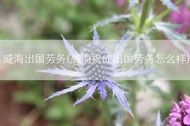 威海出国劳务(威海祝成出国劳务怎么样)