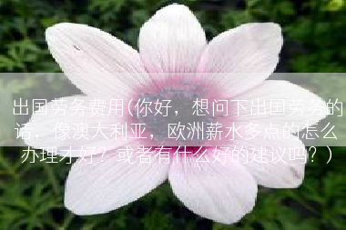 出国劳务费用(你好，想问下出国劳务的话，像澳大利亚，欧洲薪水多点的怎么办理才好？或者有什么好的建议吗？)