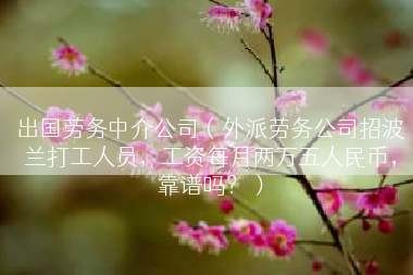 出国劳务中介公司（外派劳务公司招波兰打工人员，工资每月两万五人民币，靠谱吗？）