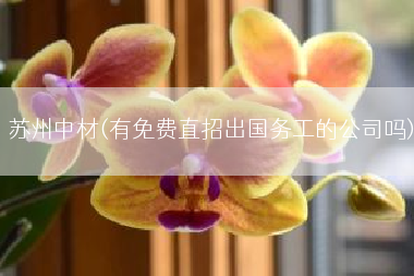 苏州中材(有免费直招出国务工的公司吗)