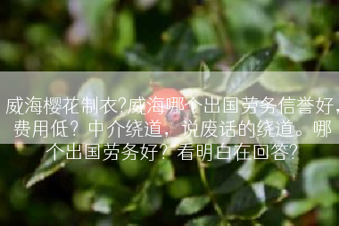 威海樱花制衣?威海哪个出国劳务信誉好，费用低？中介绕道，说废话的绕道。哪个出国劳务好？看明白在回答?