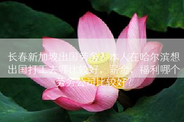 长春新加坡出国劳务？本人在哈尔滨想出国打工去哪比较好，薪金，福利哪个劳务公司比较好？