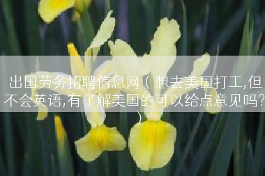 出国劳务招聘信息网（想去美国打工,但不会英语,有了解美国的可以给点意见吗？）