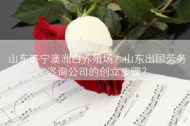 山东济宁澳洲白养殖场？山东出国劳务咨询公司的创立步骤？