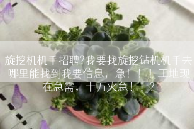 旋挖机机手招聘?我要找旋挖钻机机手去哪里能找到我要信息，急！！！工地现在急需，十万火急！！?