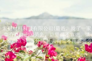 宏越材料科技有限公司(最近，找了一家中介办理出国劳务，总觉得不靠谱，请大家指点下: 万分感谢 去荷兰不用面签么？)