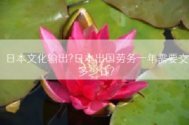 日本文化输出?日本出国劳务一年需要交多少钱?