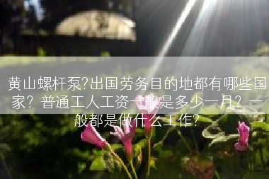 黄山螺杆泵?出国劳务目的地都有哪些国家？普通工人工资一般是多少一月？一般都是做什么工作?