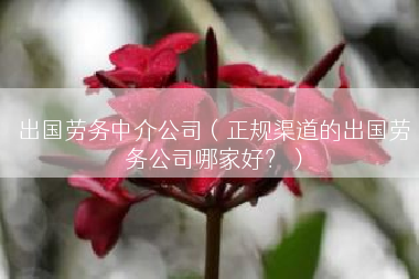 出国劳务中介公司（正规渠道的出国劳务公司哪家好？）