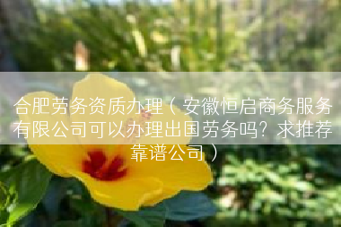 合肥劳务资质办理（安徽恒启商务服务有限公司可以办理出国劳务吗？求推荐靠谱公司）