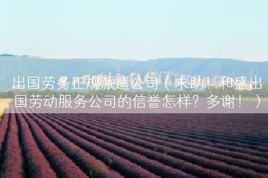 出国劳务正规派遣公司（求助！和盛出国劳动服务公司的信誉怎样？多谢！）
