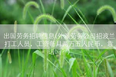 出国劳务招聘信息(外派劳务公司招波兰打工人员，工资每月两万五人民币，靠谱吗？)