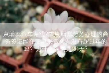 柬埔寨汽车专线?去柬埔寨劳务办理的商务签证能在那里呆多久？没有超过年的吗？为什么就说是90天?
