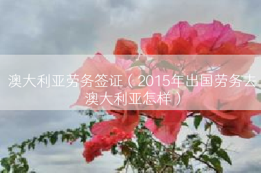 澳大利亚劳务签证（2015年出国劳务去澳大利亚怎样）