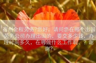 宿州全程劳务?您好，请问您在哪个出国劳务公司办理出国的，要交多少钱，办理时间多久，在哪做什么工作啊、？谢谢?