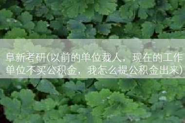 阜新考研(以前的单位裁人，现在的工作单位不买公积金，我怎么提公积金出来)