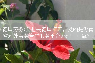 德国劳务(我想去德国打工，找的是湖南省对外劳务合作服务平台办理，可靠？)