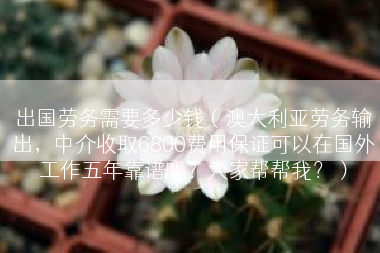 出国劳务需要多少钱（澳大利亚劳务输出，中介收取6800费用保证可以在国外工作五年靠谱吗？大家帮帮我？）