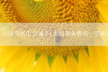 出国劳务中介骗子(出国劳务费用一览表)