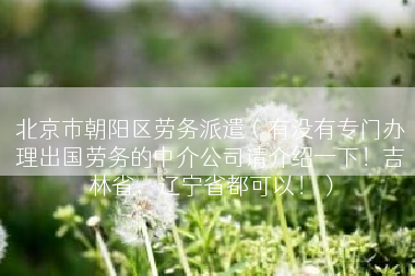 北京市朝阳区劳务派遣（有没有专门办理出国劳务的中介公司请介绍一下！吉林省，辽宁省都可以！）