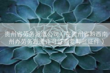 贵州省劳务派遣公司（在贵州省黔西南州办劳务派遣许可证需要哪些证件）