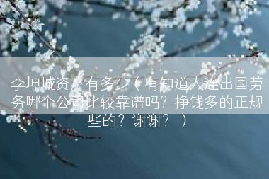 李坤城资产有多少（有知道大连出国劳务哪个公司比较靠谱吗？挣钱多的正规些的？谢谢？）