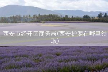 西安市经开区商务局(西安护照在哪里领取)