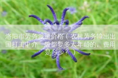 洛阳市劳务派遣价格（农村劳务输出出国打工中介一般都要多大年龄的，费用是多少？）