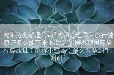 沈阳劳务派遣公司?沈阳办理国际旅行健康证多久能下来 如题，出国办理国际旅行健康证（俗称小红本）多久能拿到手，谢谢?