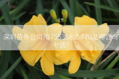 深圳劳务公司?075536825870是哪公司电话?