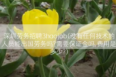 深圳劳务招聘3haojob(没有任何技术的人员能出国劳务吗?需要保证金吗,费用是多少?)