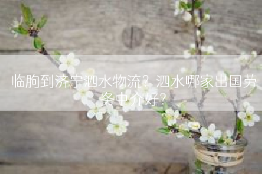 临朐到济宁泗水物流？泗水哪家出国劳务中介好？