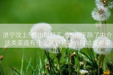 济宁汶上?想出国打工，想问下除了中介这类渠道有什么其它招聘的网址或者渠道?