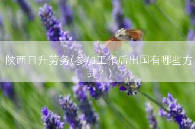 陕西日升劳务(参加工作后出国有哪些方式？)