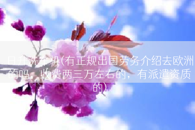 日升洗车机(有正规出国劳务介绍去欧洲的吗，收费两三万左右的，有派遣资质的)