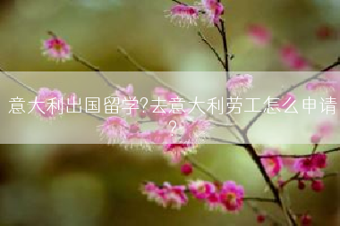 意大利出国留学?去意大利劳工怎么申请?