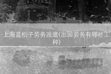 上海蓝松子劳务派遣(出国劳务有哪些工种)