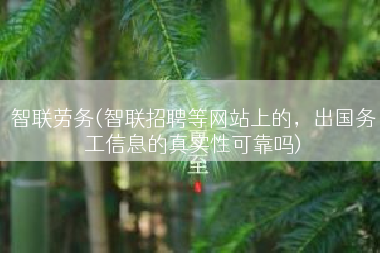 智联劳务(智联招聘等网站上的，出国务工信息的真实性可靠吗)