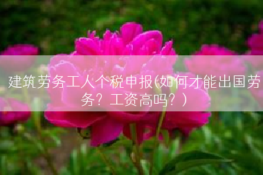 建筑劳务工人个税申报(如何才能出国劳务？工资高吗？)