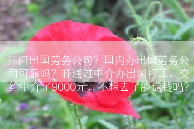 江门出国劳务公司？国内办出国劳务公司可靠吗？我通过中介办出国打工，交给中介了9000元，不想去了能退钱吗？