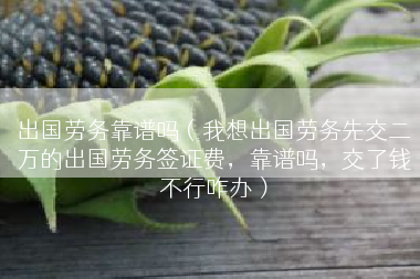 出国劳务靠谱吗（我想出国劳务先交二万的出国劳务签证费，靠谱吗，交了钱不行咋办）