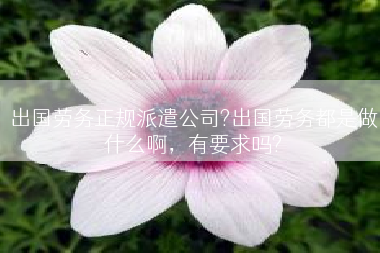 出国劳务正规派遣公司?出国劳务都是做什么啊，有要求吗?