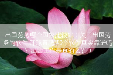 出国劳务哪个国家比较好（关于出国劳务的软件 环球直聘 那个软件真实靠谱吗？出国工作是真的么？）