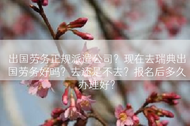 出国劳务正规派遣公司？现在去瑞典出国劳务好吗？去还是不去？报名后多久办理好？
