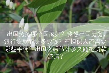 出国劳务哪个国家好？我想出国劳务，银行贷款能贷多少钱？有担保人还需要哪些手续？出国之后估计多久能把贷款还清？