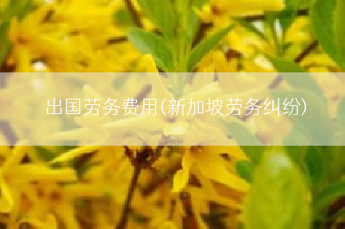 出国劳务费用(新加坡劳务纠纷)