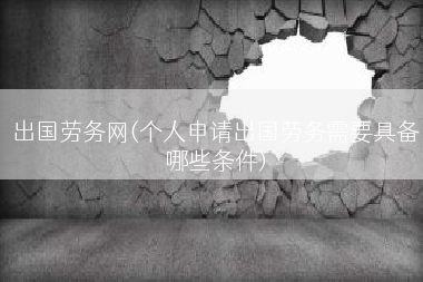 出国劳务网(个人申请出国劳务需要具备哪些条件)