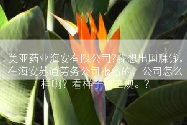 美亚药业海安有限公司?我想出国赚钱，在海安苏通劳务公司报名的，公司怎么样啊？看样子很正规。?