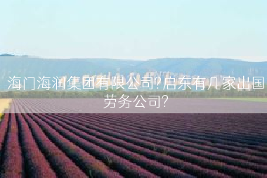 海门海润集团有限公司?启东有几家出国劳务公司?