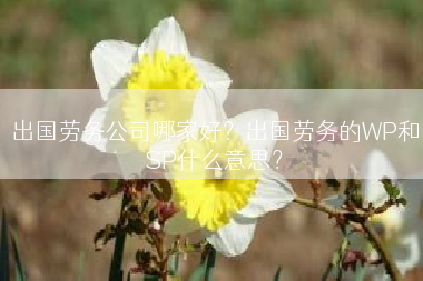 出国劳务公司哪家好？出国劳务的WP和SP什么意思？